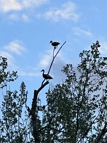 $2,245,000 | 23004-2 Landrum Village Drive, Montgomery, TX 77316