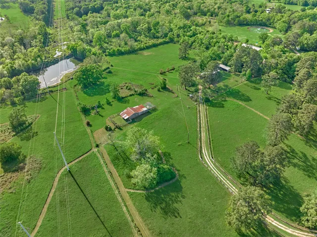 a view of a trees in a yard