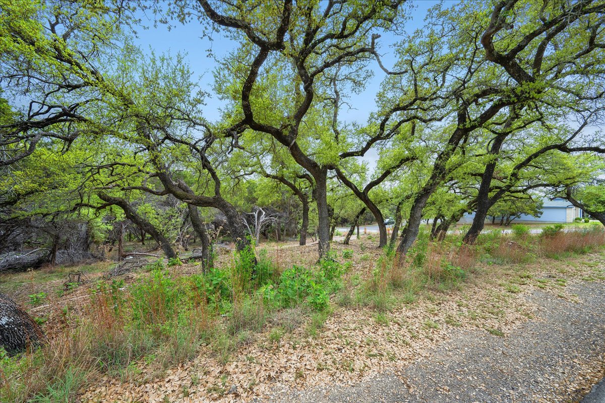 20404 Ridgeview Road Leander, TX 78645 - Photo 15 of 26 a backyard of a house with lots of green space