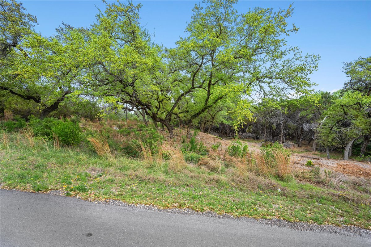 20404 Ridgeview Road Leander, TX 78645 - Photo 16 of 26 a view of a yard with a tree