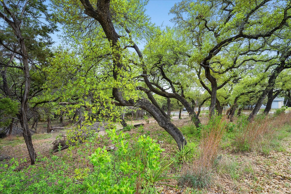 20404 Ridgeview Road Leander, TX 78645 - Photo 17 of 26 a backyard of a house with lots of trees