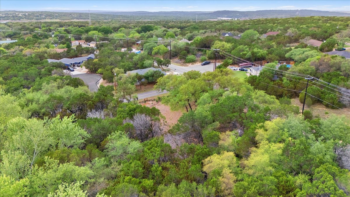 20404 Ridgeview Road Leander, TX 78645 - Photo 19 of 26 a view of a lush green forest with trees and some houses