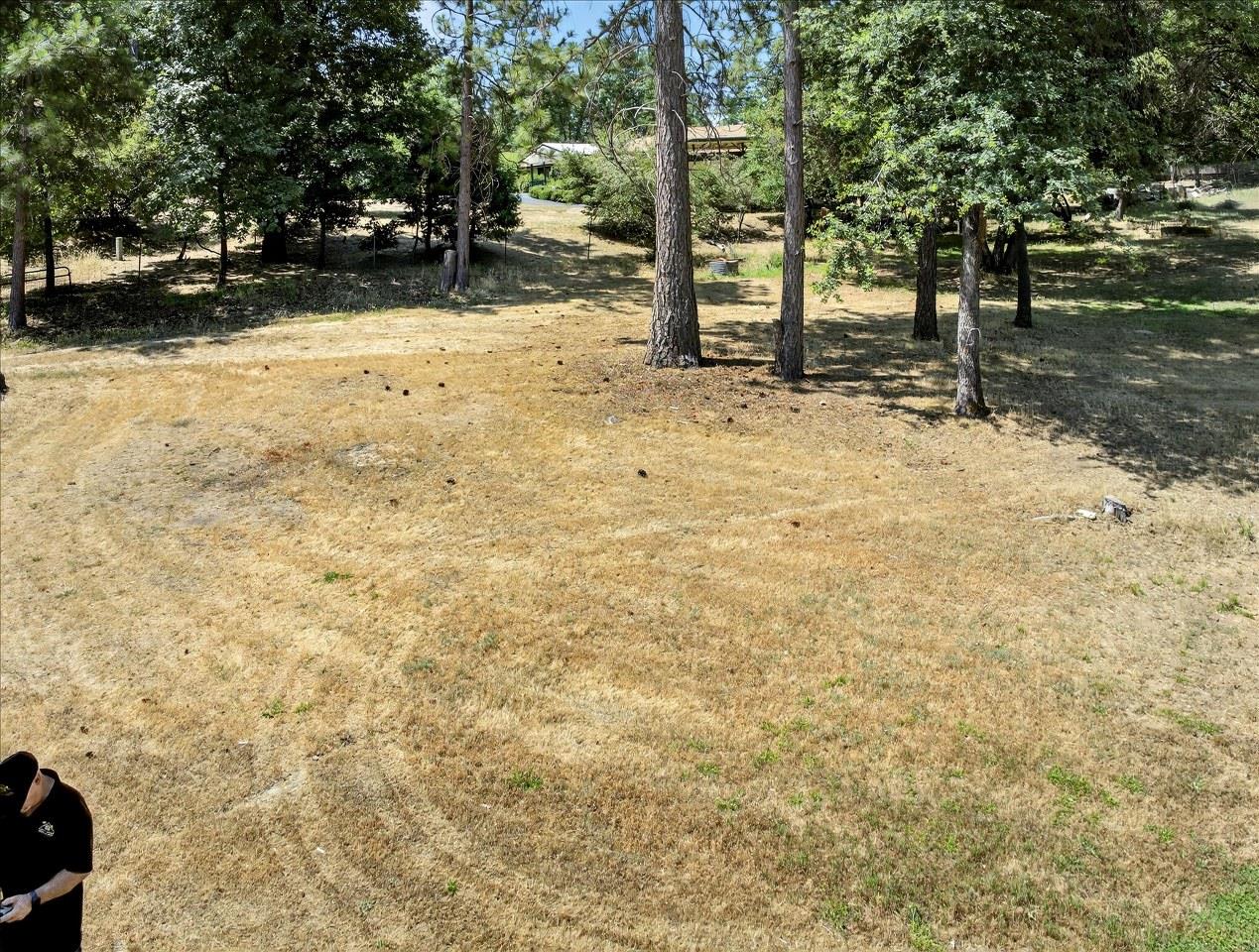 38090 Wortham Road Oakhurst, CA 93644 - Photo 51 of 54 a view of yard with trees