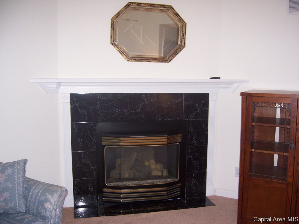 4018 Marryat Drive Springfield, IL 62711 - Photo 3 of 26