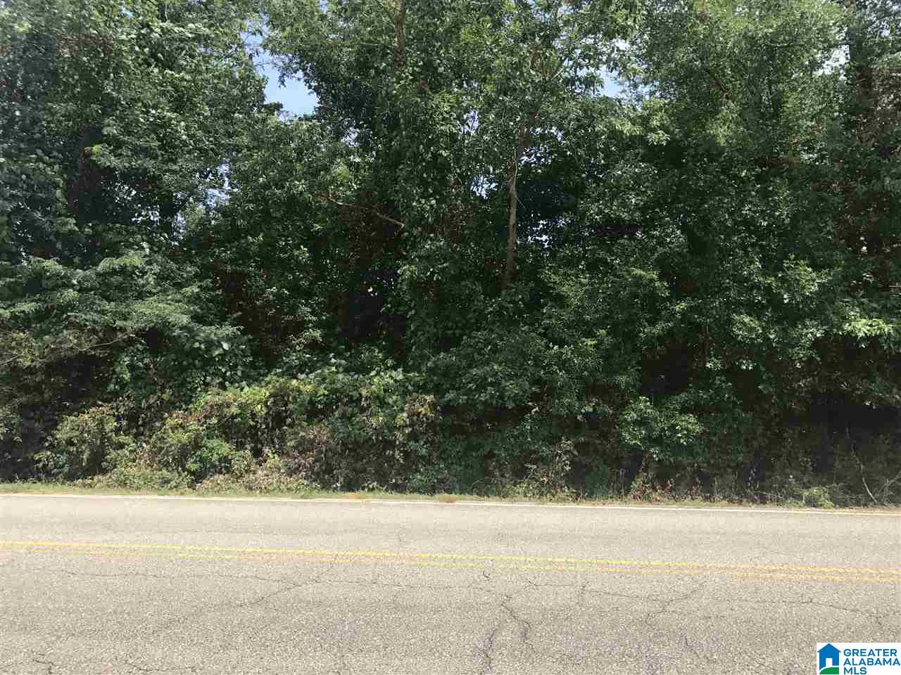 River Bend Road, Unit 2 West Blocton, AL 35184 - Photo 10 of 10
