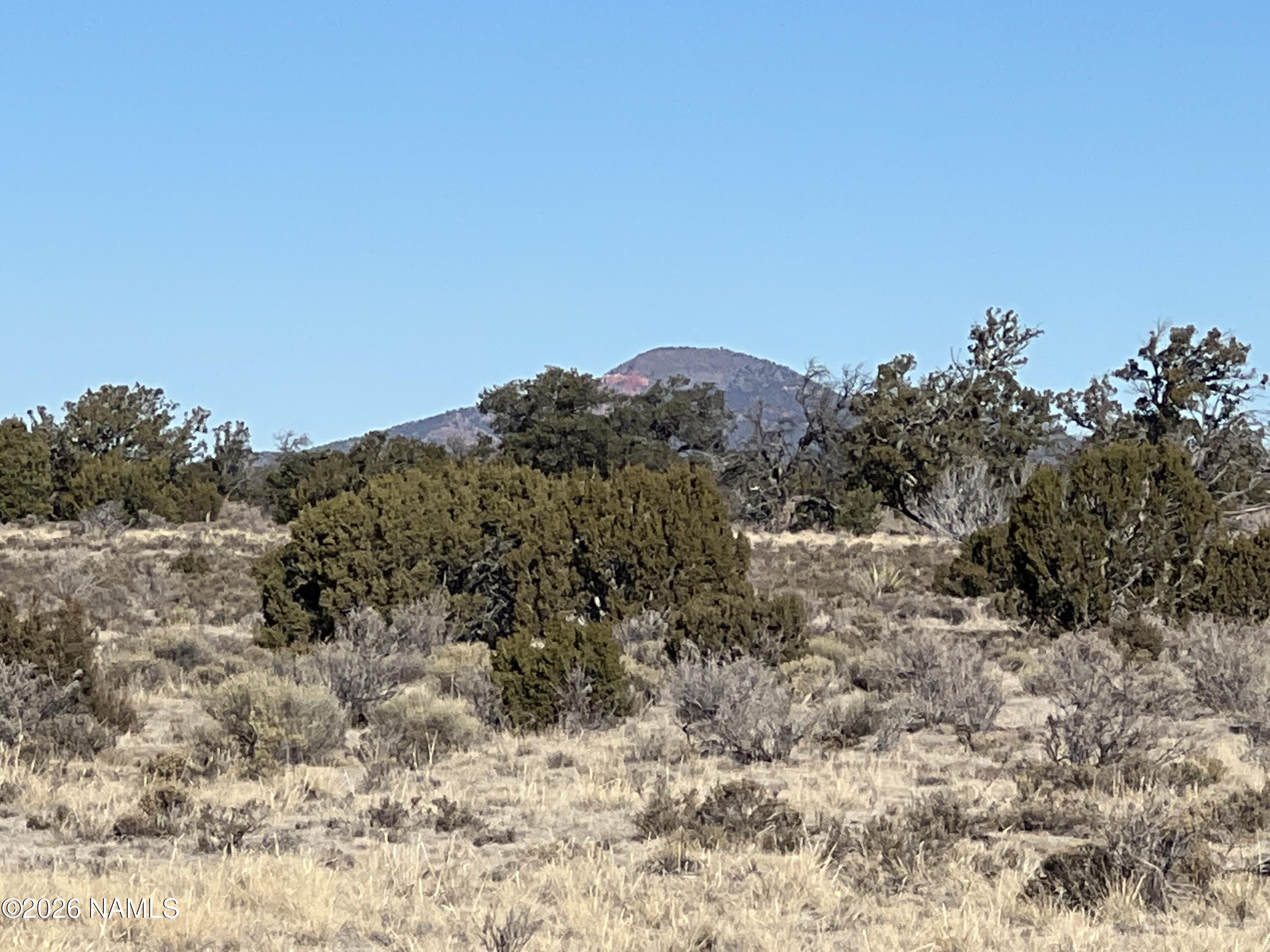 7211 East Roper Circle Williams, AZ 86046 - Photo 11 of 26 a view of a dry yard
