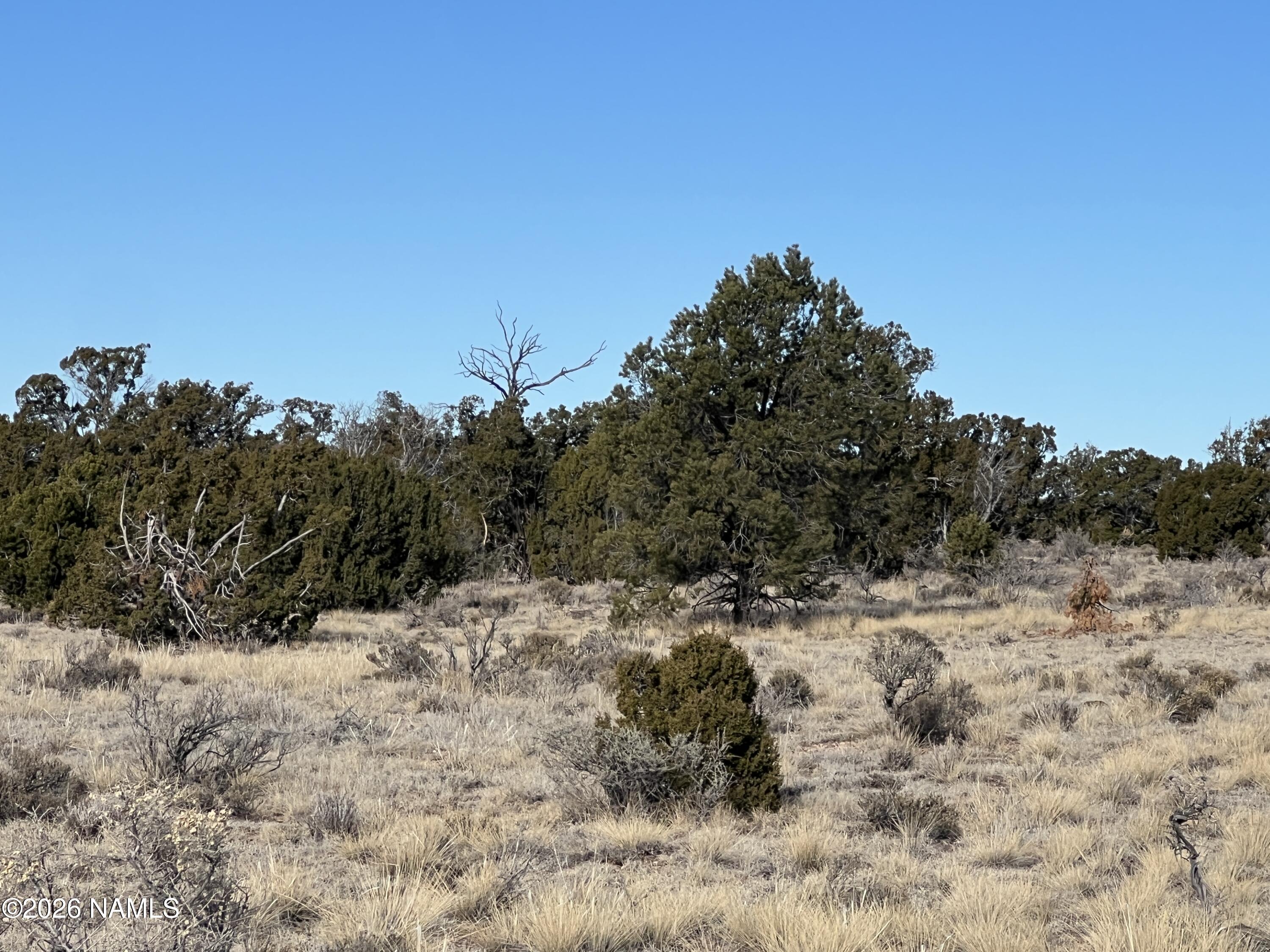 7211 East Roper Circle Williams, AZ 86046 - Photo 15 of 26 a view of a snow on a field