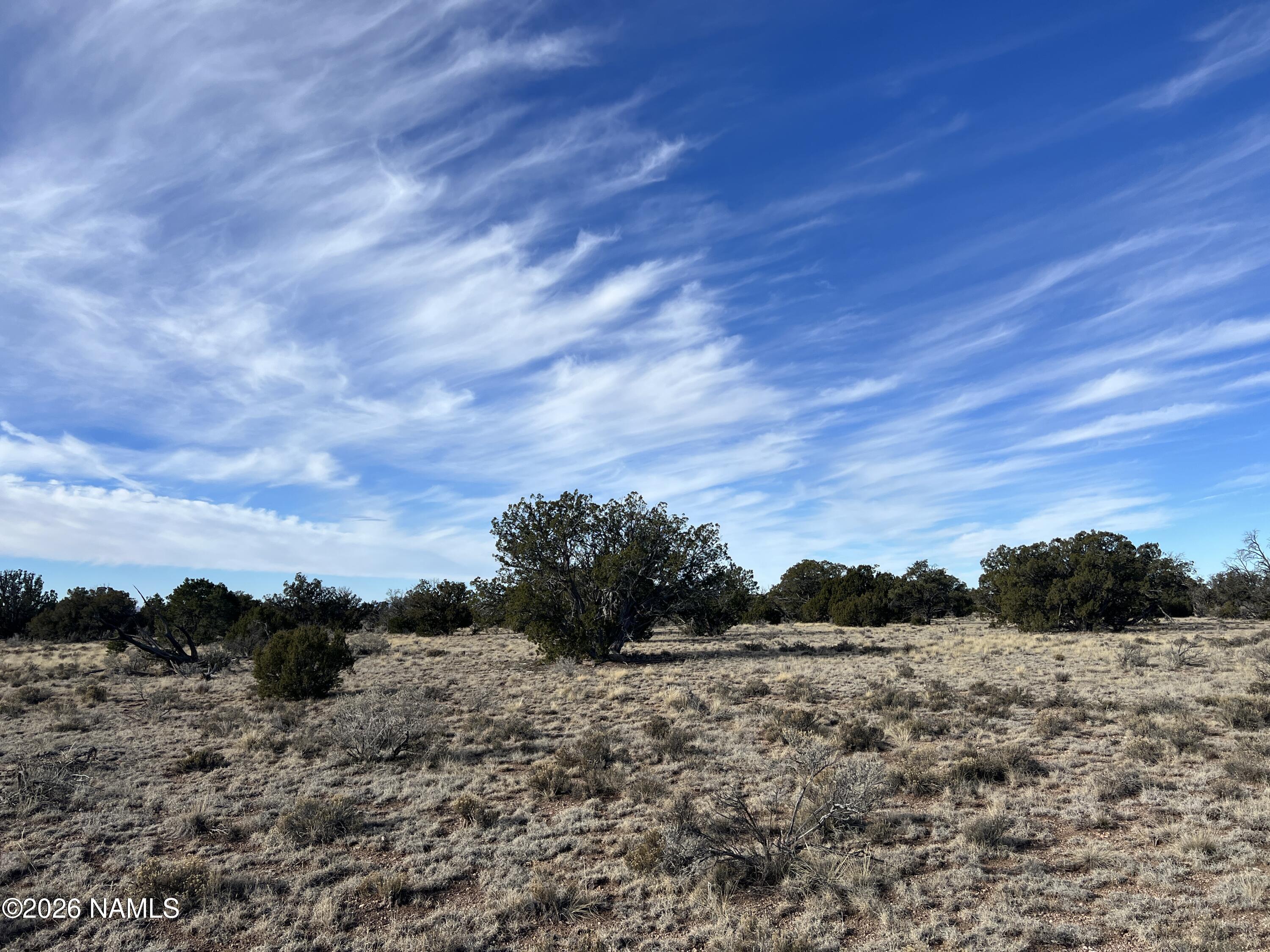 7211 East Roper Circle Williams, AZ 86046 - Photo 16 of 26 a view of mountain view with wooden floor and trees