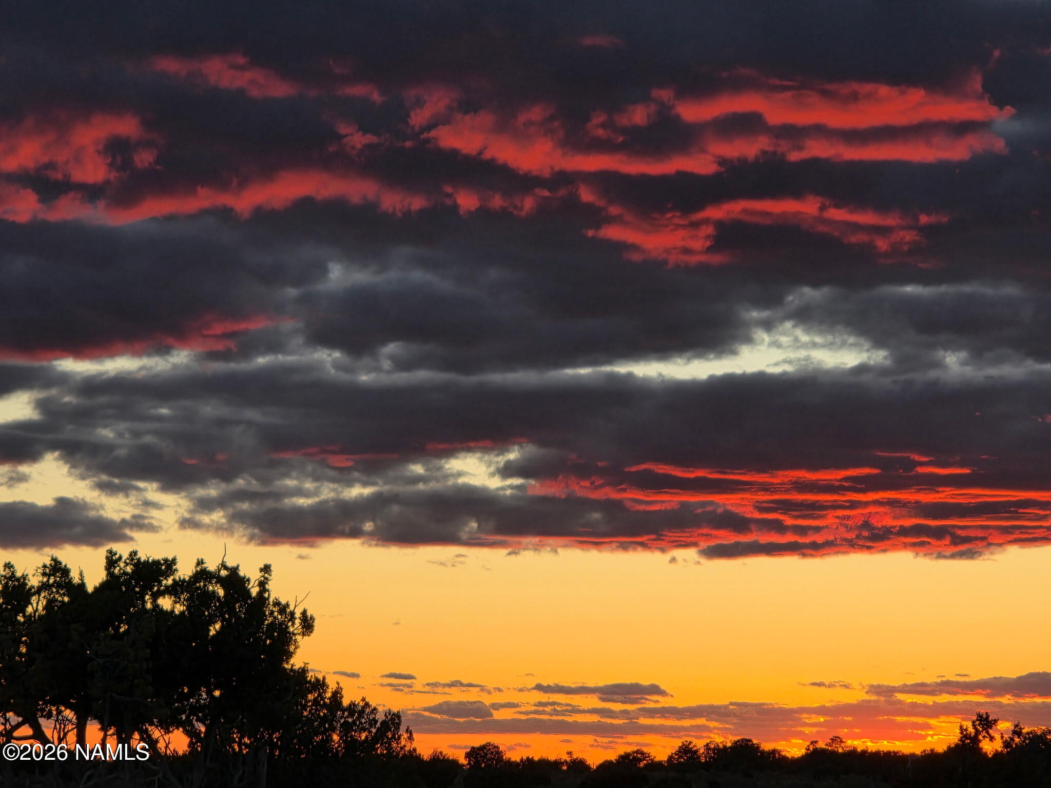 7211 East Roper Circle Williams, AZ 86046 - Photo 2 of 26