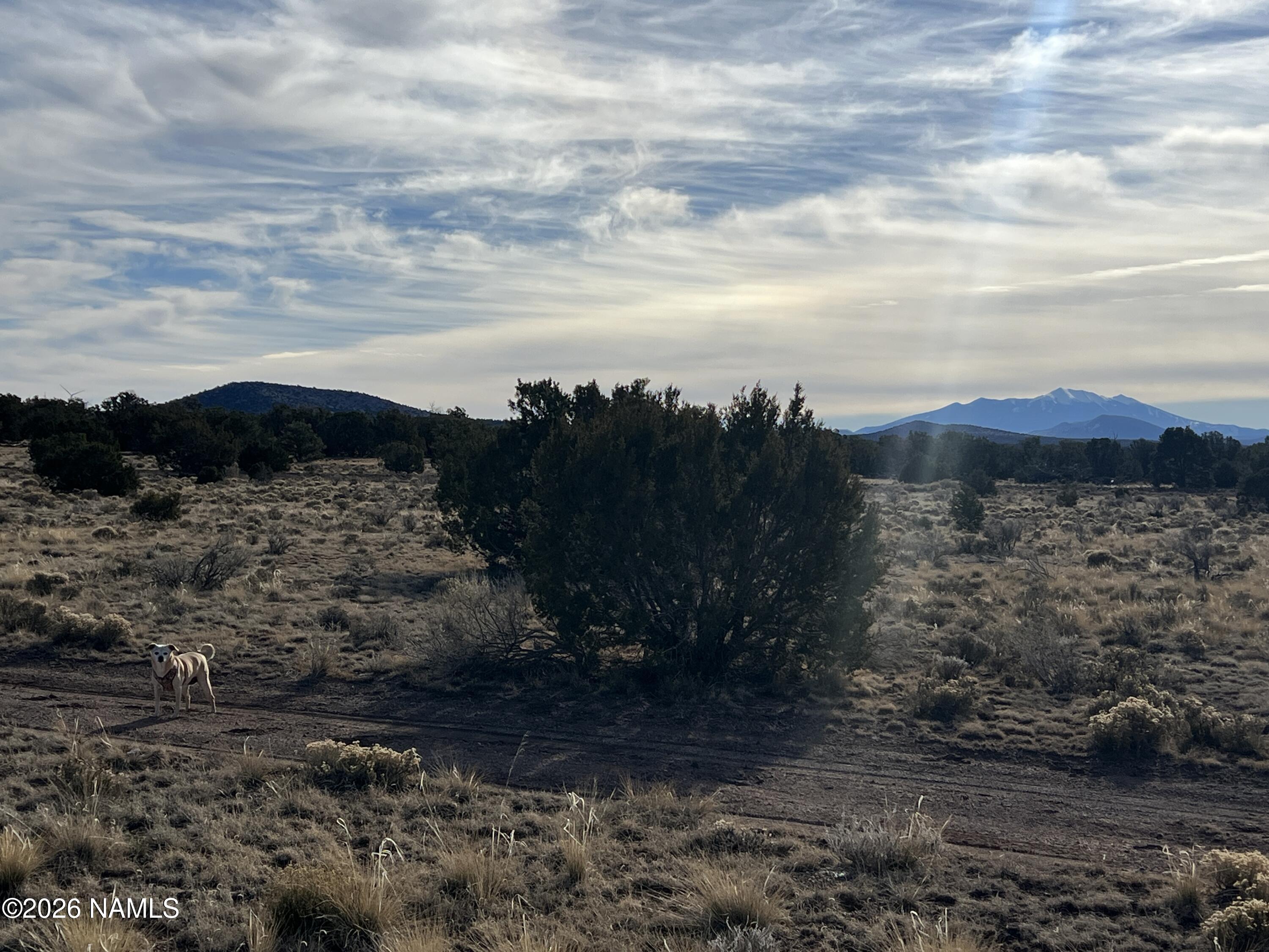 7211 East Roper Circle Williams, AZ 86046 - Photo 22 of 26