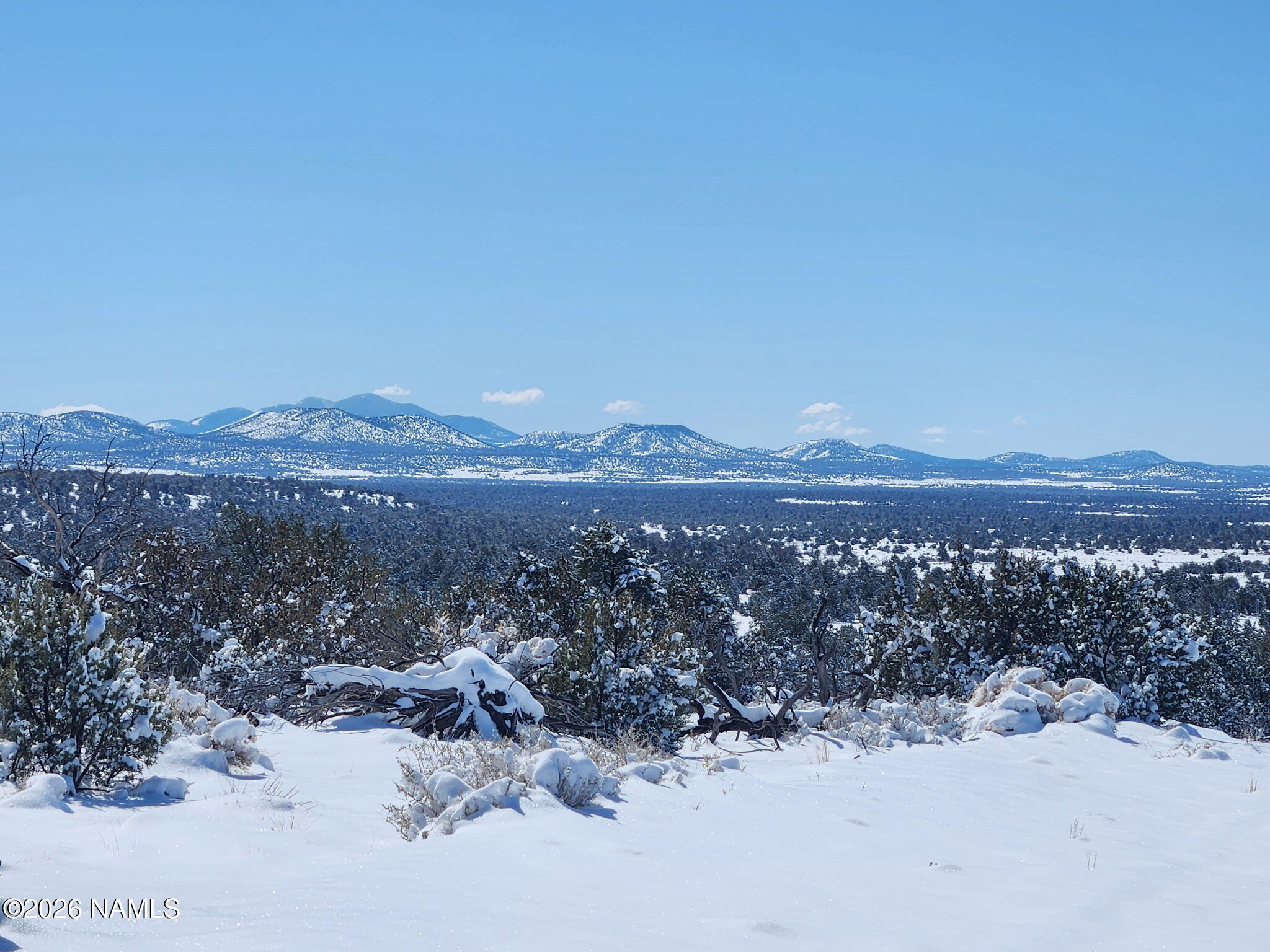 7211 East Roper Circle Williams, AZ 86046 - Photo 5 of 26
