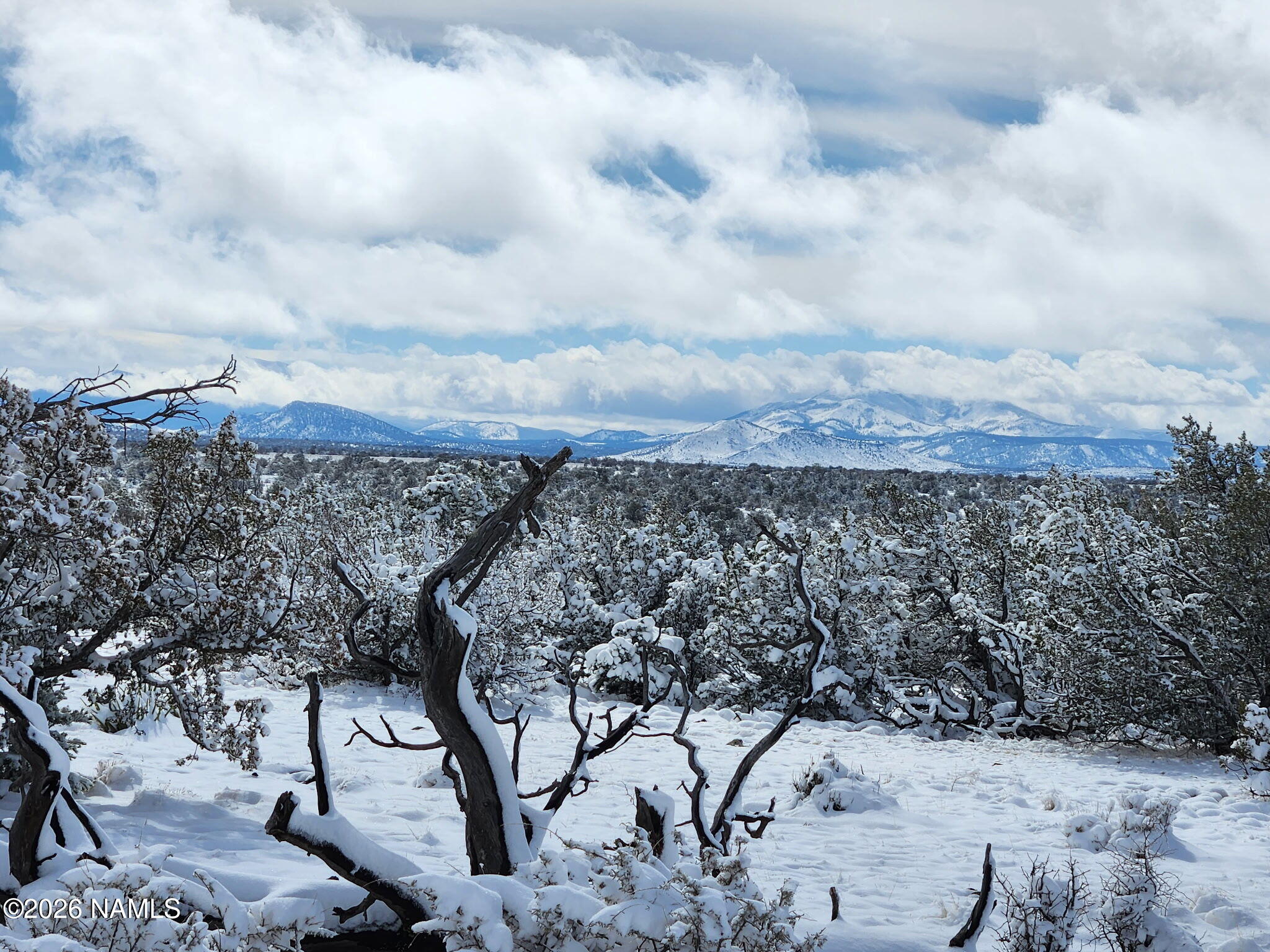 7211 East Roper Circle Williams, AZ 86046 - Photo 6 of 26 a view of a outdoor space