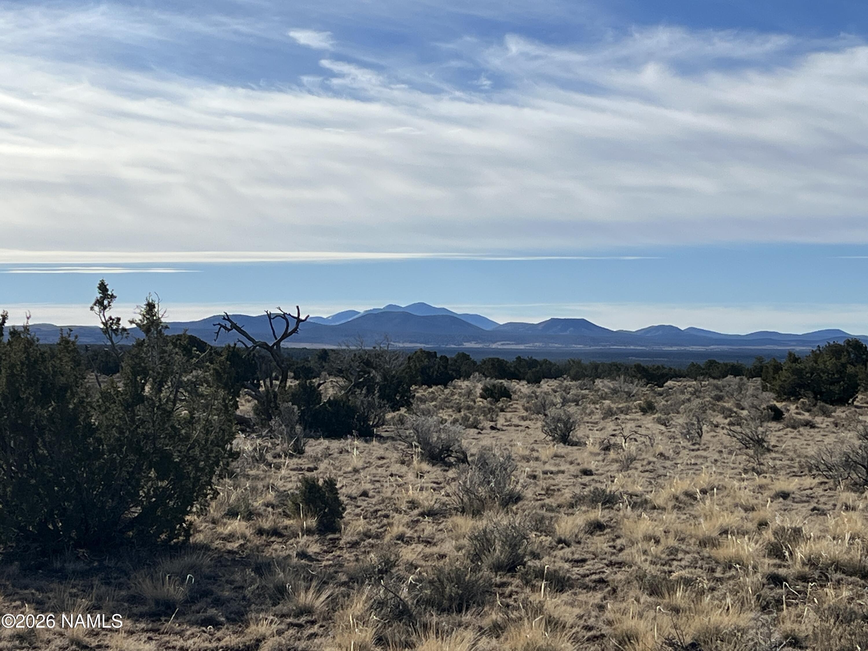 7211 East Roper Circle Williams, AZ 86046 - Photo 10 of 26 a view of a lake with mountains in the background