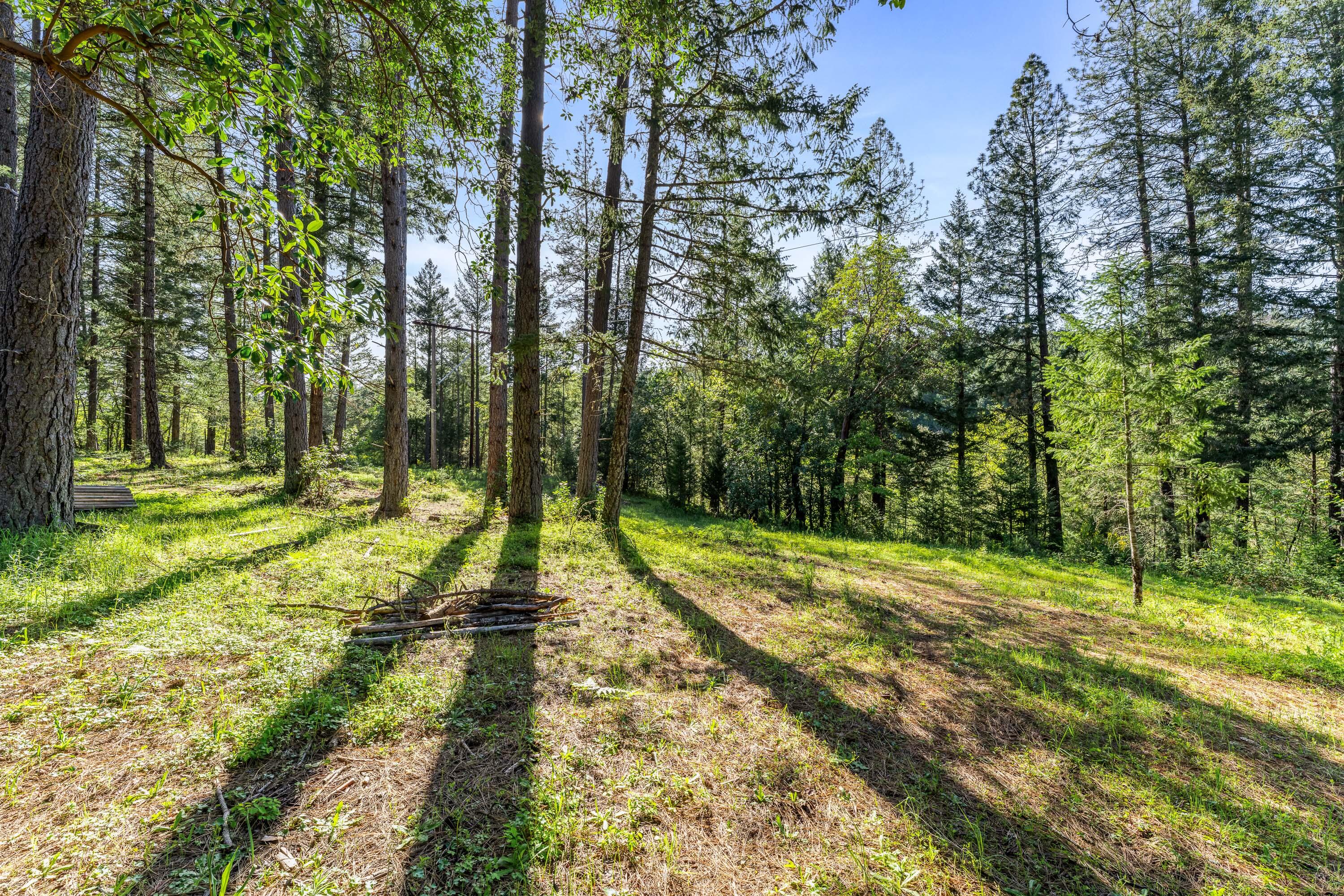 1201 Reeves Creek Road Selma, OR 97538 - Photo 30 of 38 a view of a park with large trees