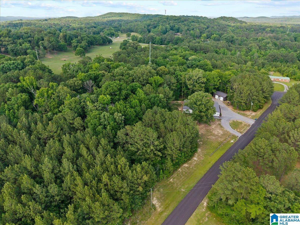 665 Stolle Farm Road Ashville, AL 35953 - Photo 67 of 77