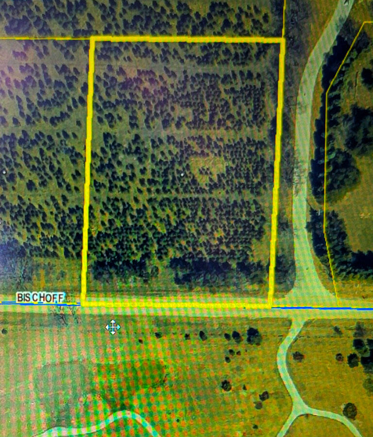 V/l Bischoff Road Arcadia, MI 49613 - Photo 12 of 16 Aerial