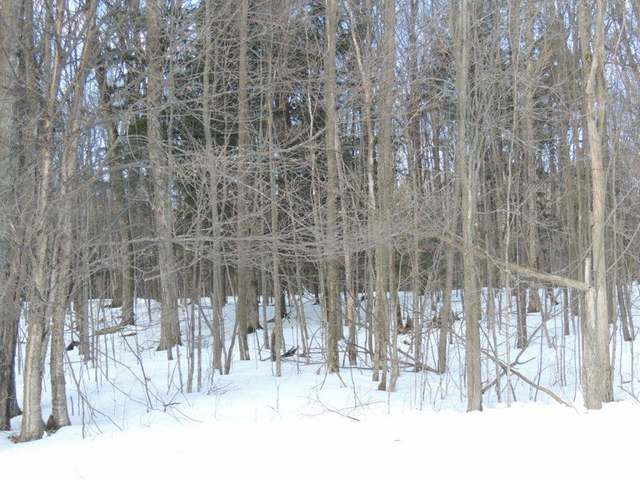 N1466 Cth Road Antigo, WI 54409 - Photo 28 of 29 Gallery Image 28
