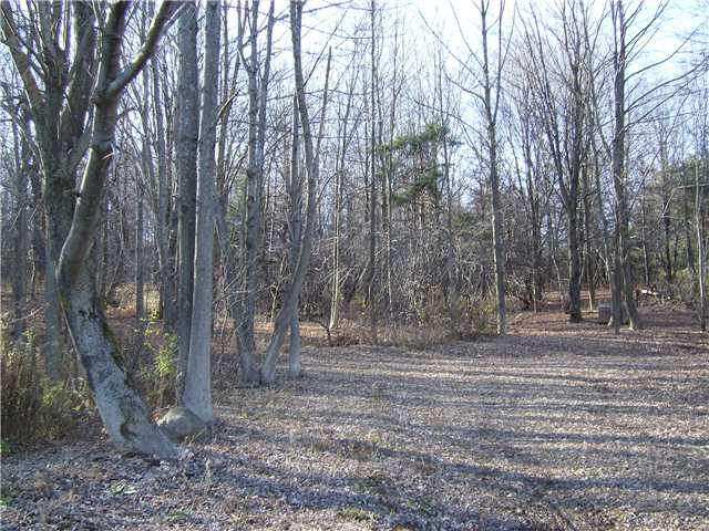 0 Sodom Road Gainesville, NY 14066 - Photo 1 of 1 Land