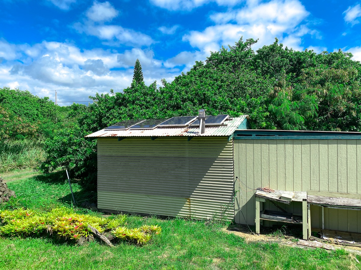 94-1488 Kala Place Naalehu, HI 96772 - Photo 12 of 19 a view of a backyard with plants