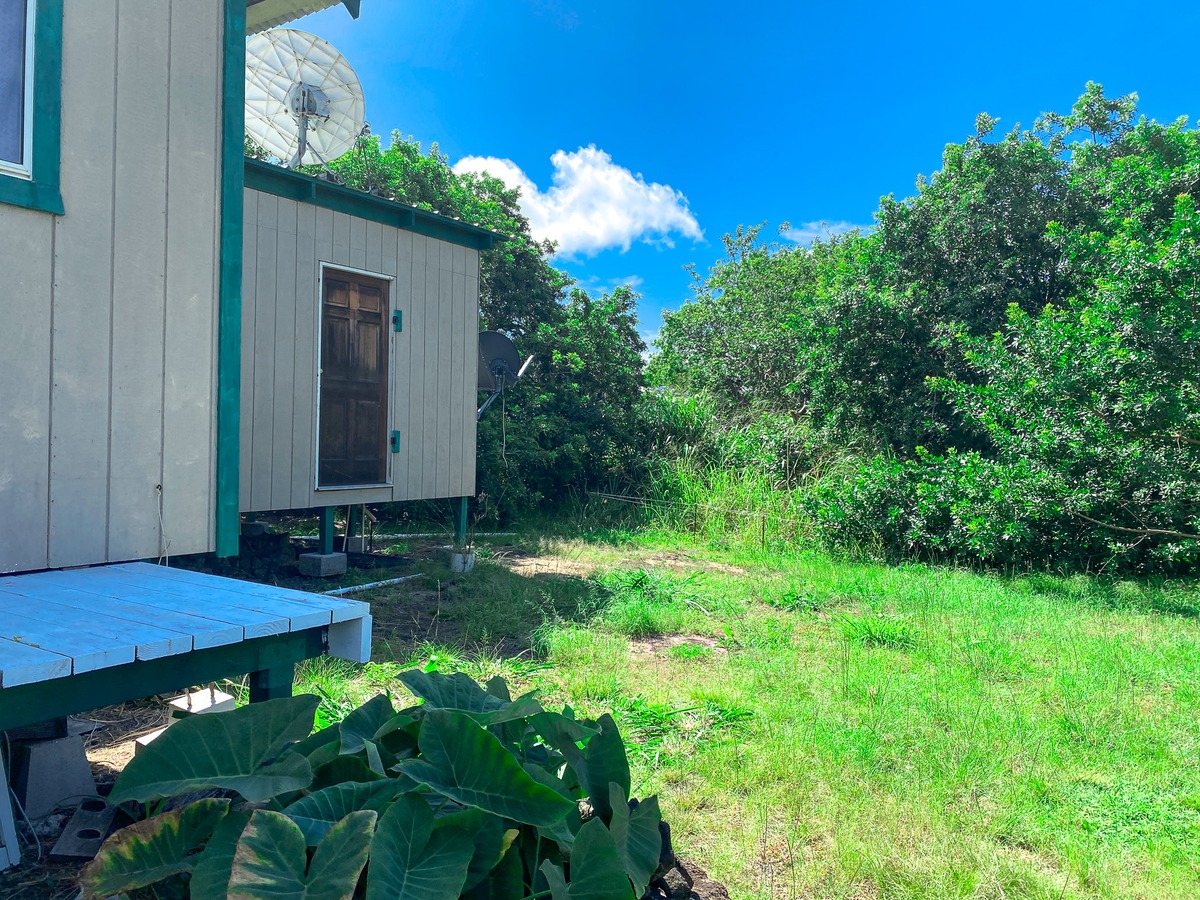 94-1488 Kala Place Naalehu, HI 96772 - Photo 13 of 19 a view of backyard with plants and outdoor seating