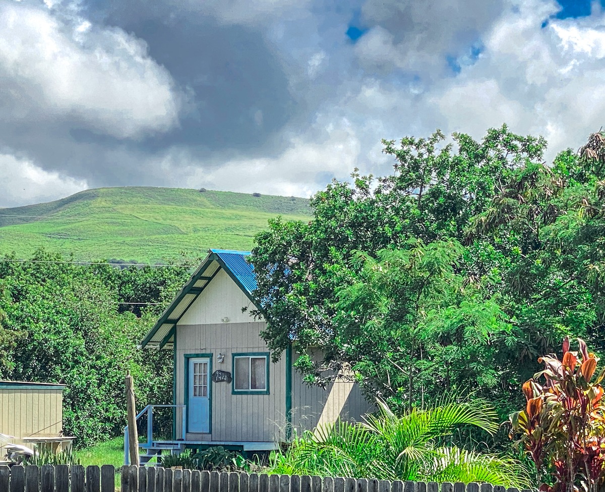 94-1488 Kala Place Naalehu, HI 96772 - Photo 5 of 19 a front view of a house with garden