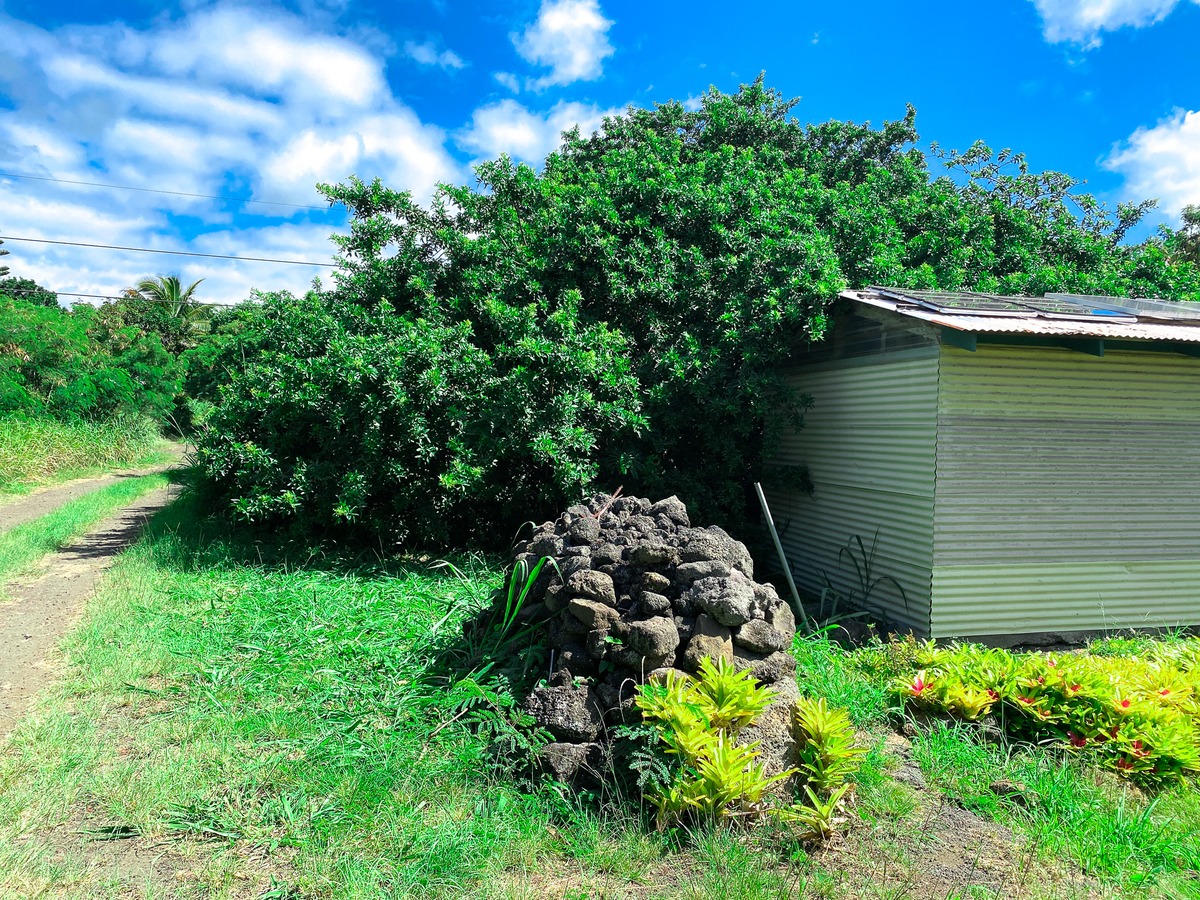 94-1488 Kala Place Naalehu, HI 96772 - Photo 6 of 19 a backyard of a house with lots of green space