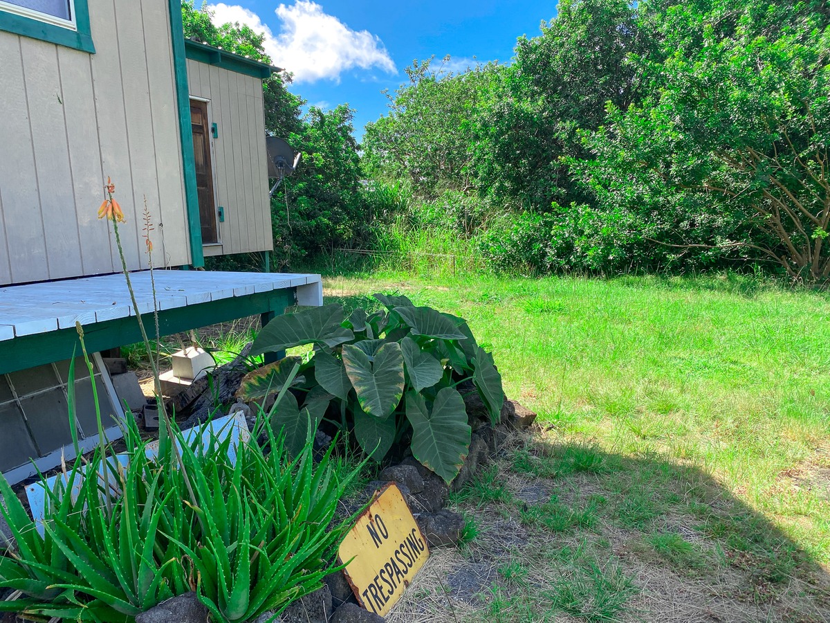 94-1488 Kala Place Naalehu, HI 96772 - Photo 10 of 19 a backyard of a house with lots of green space