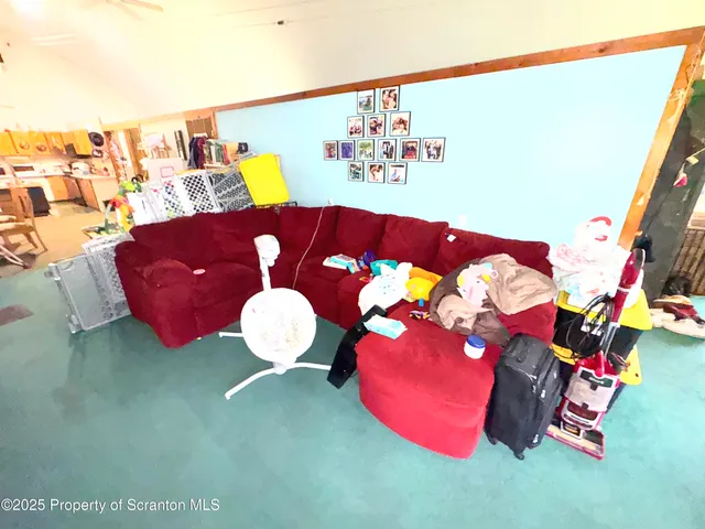 a view of a backyard with plants