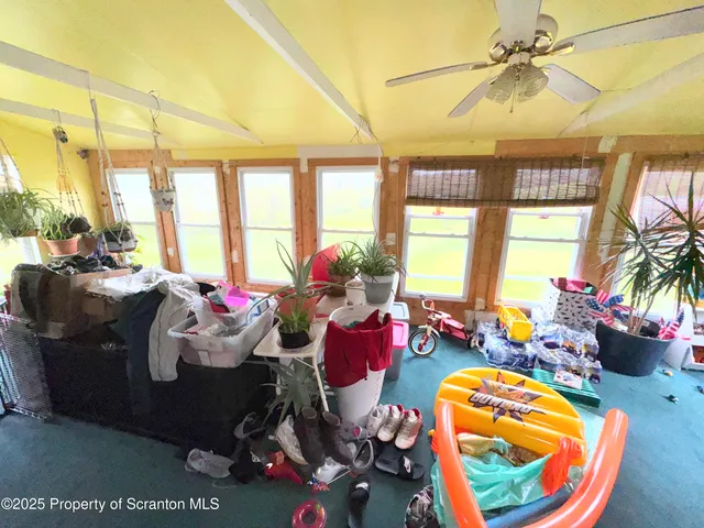 a view of a big yard