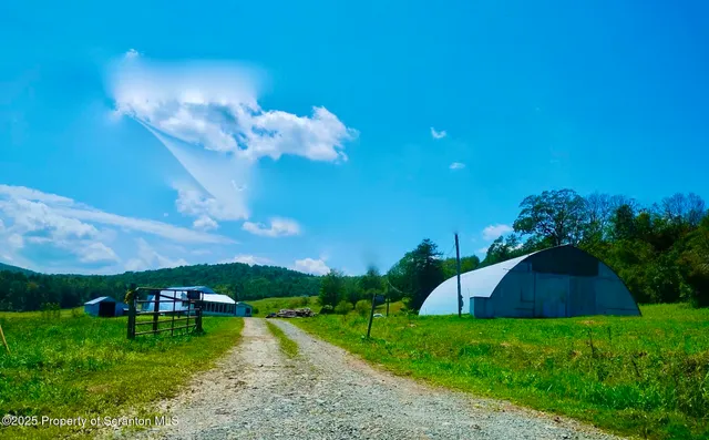 a green field with lots of trees in it