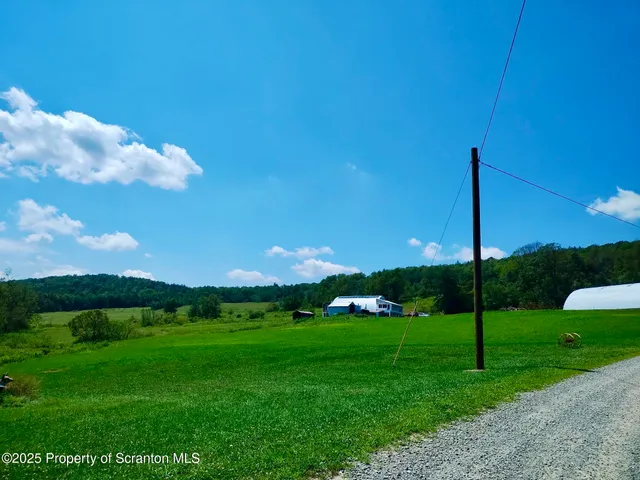 a view of a field with an trees