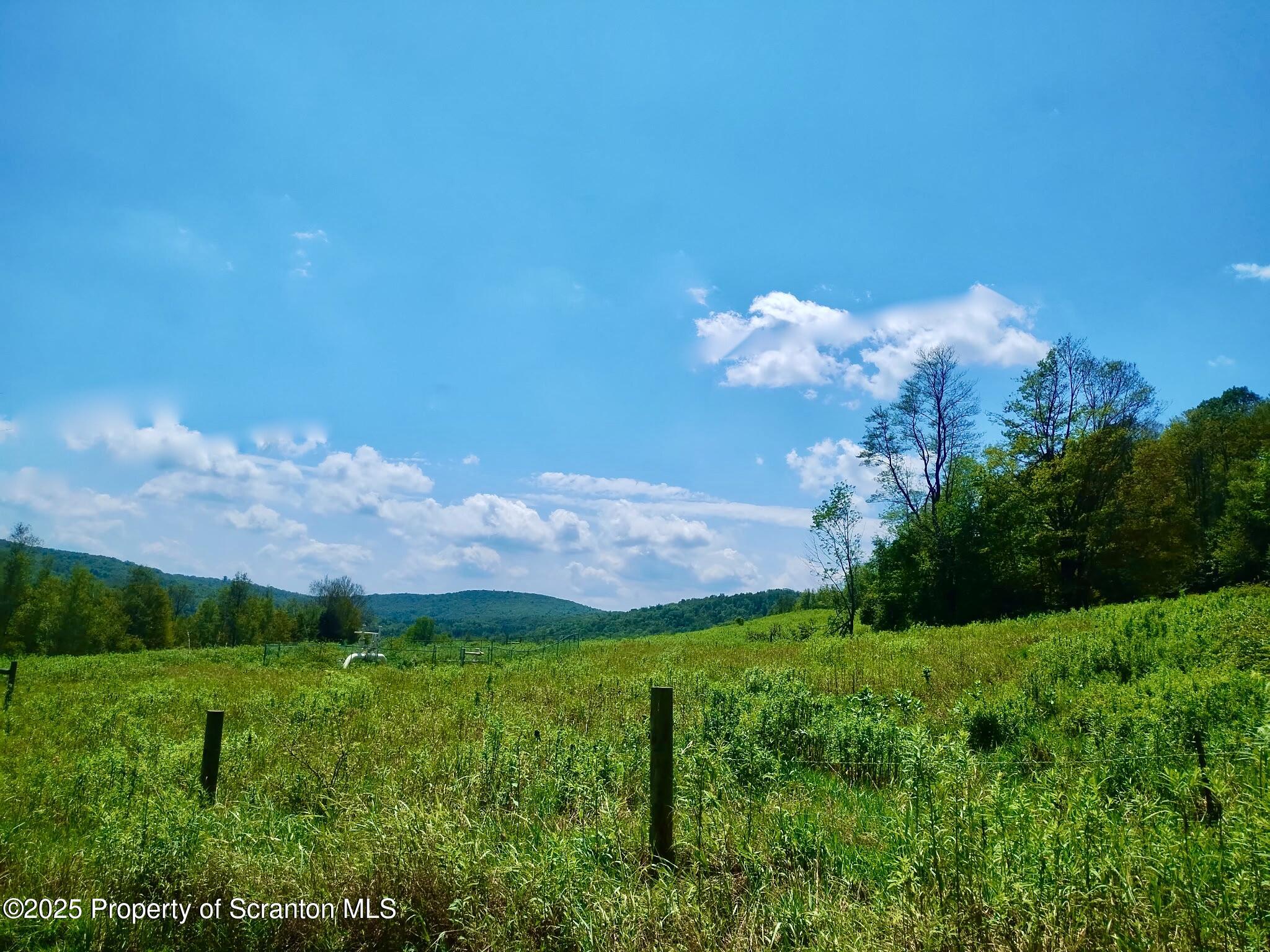 998 Melrose Road Susquehanna, PA 18847 - Photo 4 of 31 Gorgeous property