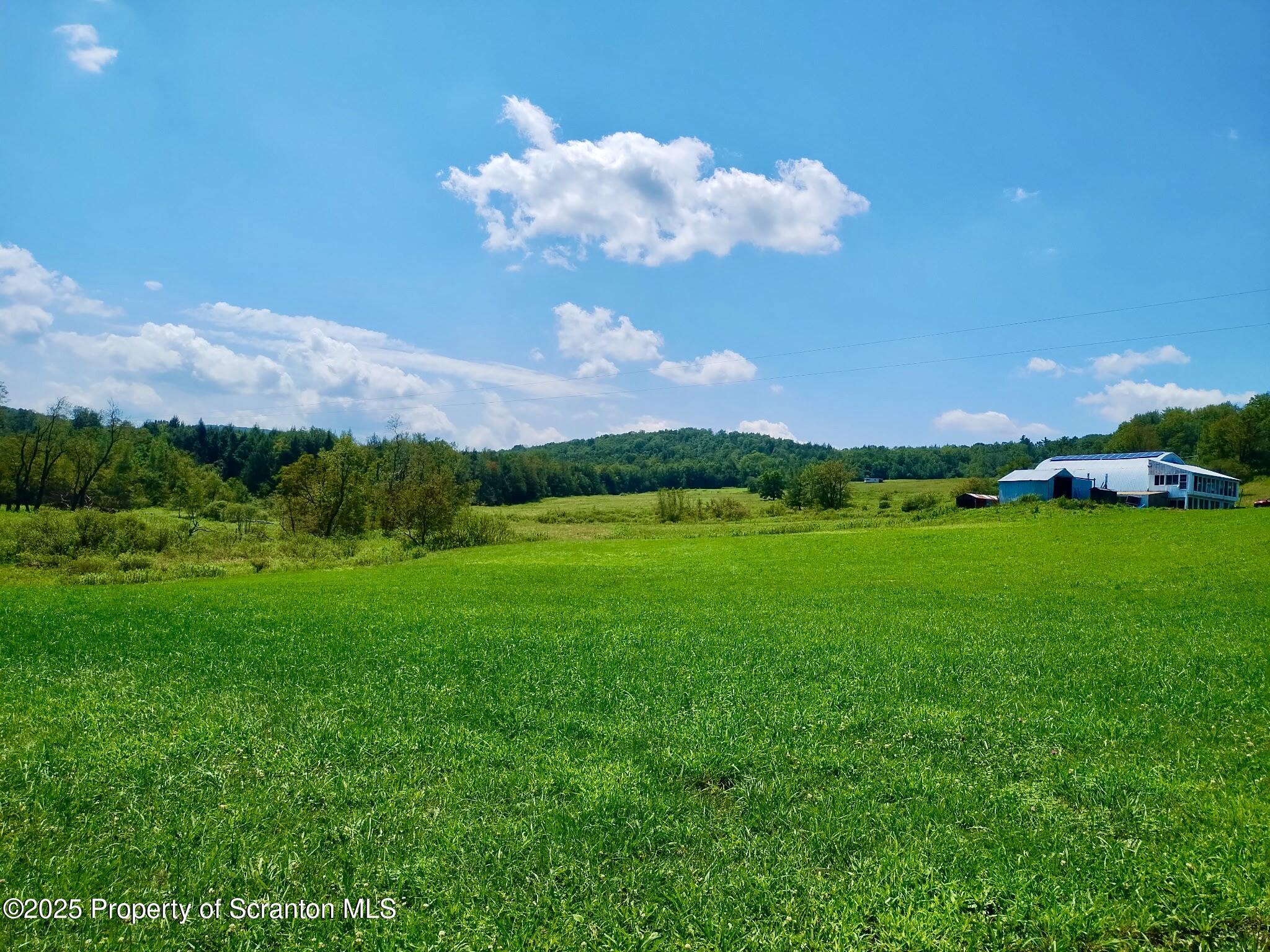 998 Melrose Road Susquehanna, PA 18847 - Photo 5 of 31 BEAUTIFUL FIELDS
