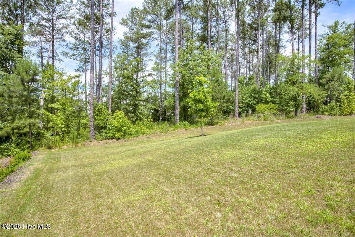309 Streamsong Road Evans, GA 30809 - Photo 38 of 47
