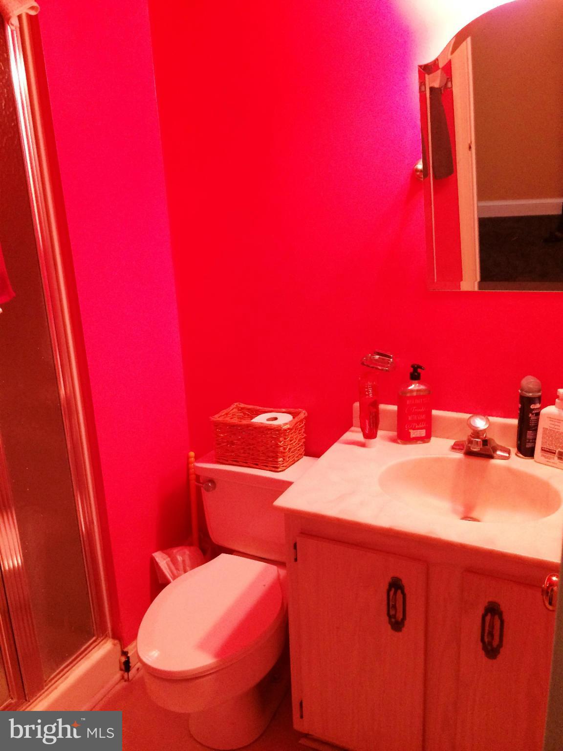 7 Treworthy Road Gaithersburg, MD 20878 - Photo 15 of 18 Lower level full bathroom