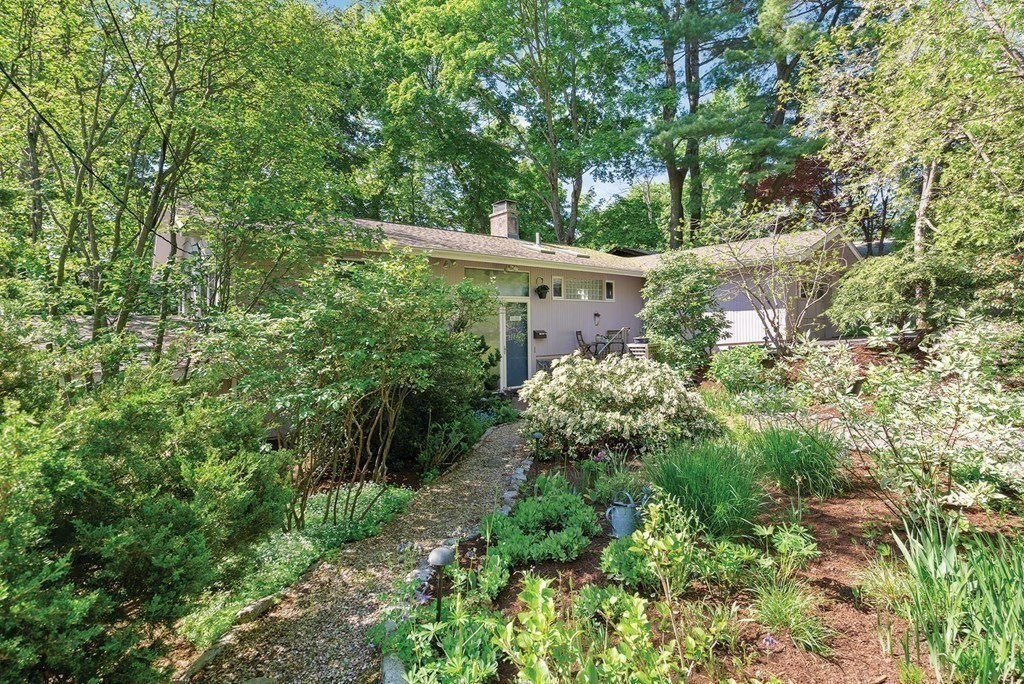 a view of a garden with plants and large trees