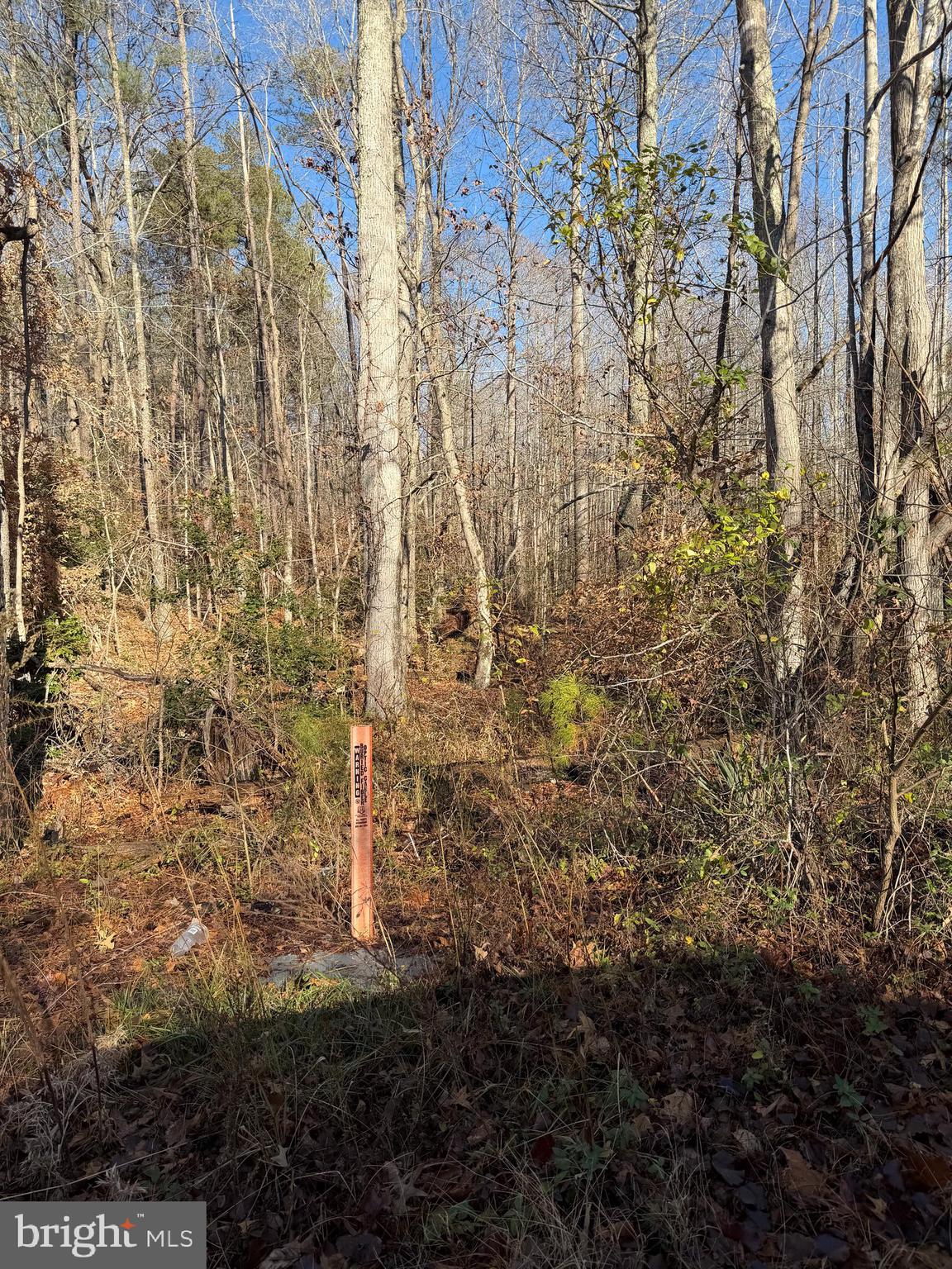 Lot 2 Turkey Acres Road King George, VA 22485 - Photo 2 of 2 a view of a pathway of a building