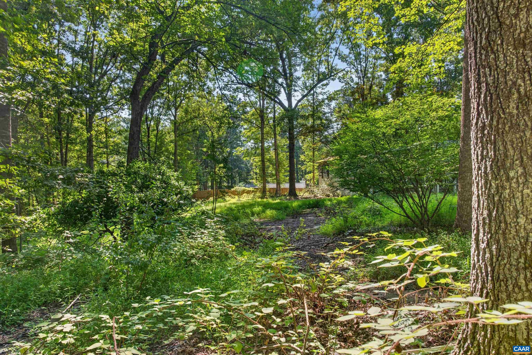360 Swift Run Road, Unit 49 A 38C Ruckersville, VA 22968 - Photo 1 of 10 Gallery Image 1
