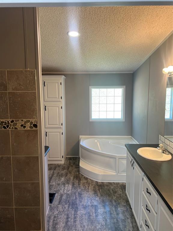 368 Fox Creek Haughton, LA 71037 - Photo 8 of 24 a bathroom with a bathtub and a sink