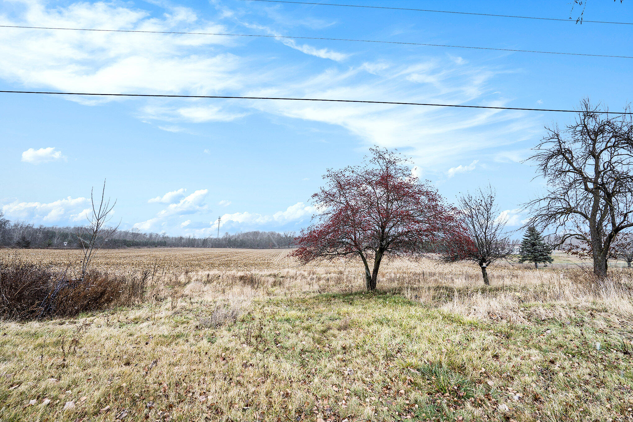 1088 West Remus Road Mount Pleasant, MI 48858 - Photo 14 of 16 014_mkb05012_10