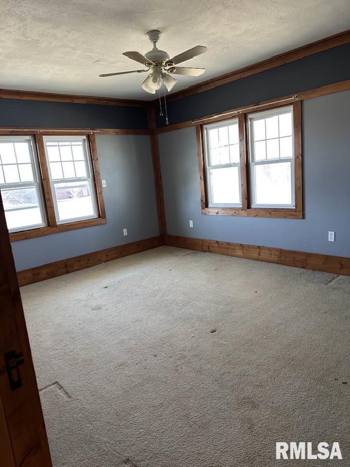 213 North Illinois Street Camp Point, IL 62320 - Photo 9 of 10