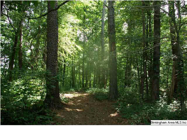 776 Robbins Branch Road, Unit 1 Altoona, AL 35952 - Photo 20 of 30 Gallery Image 20