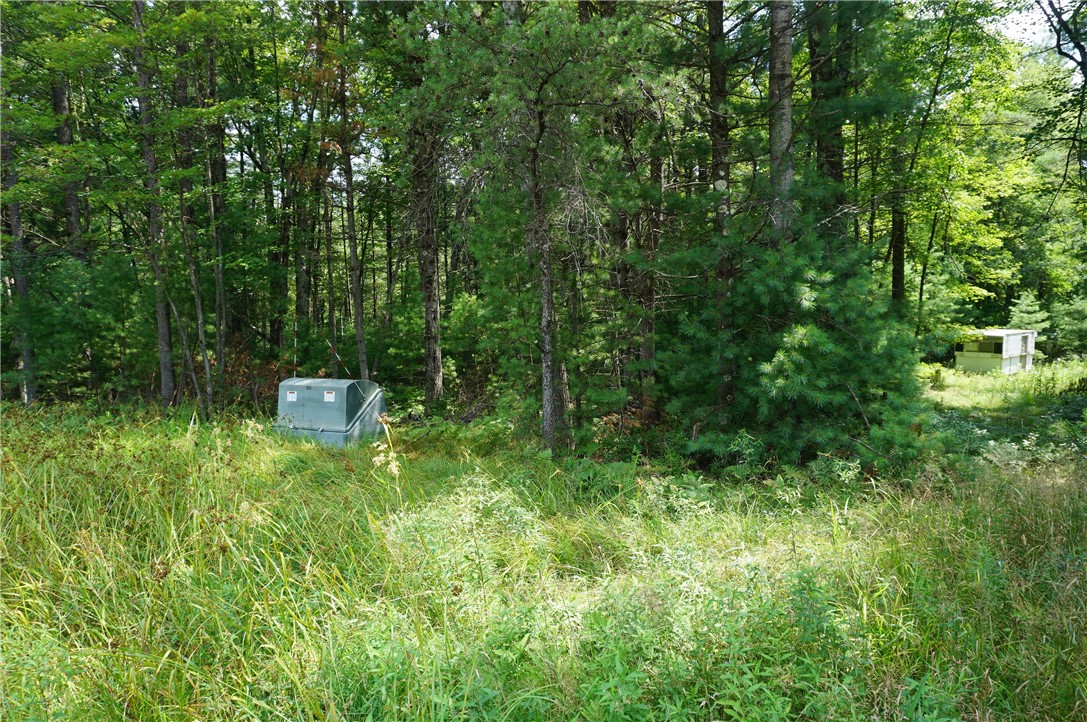 N9390 County Road East Merrillan, WI 54754 - Photo 1 of 1 Gallery Image 1