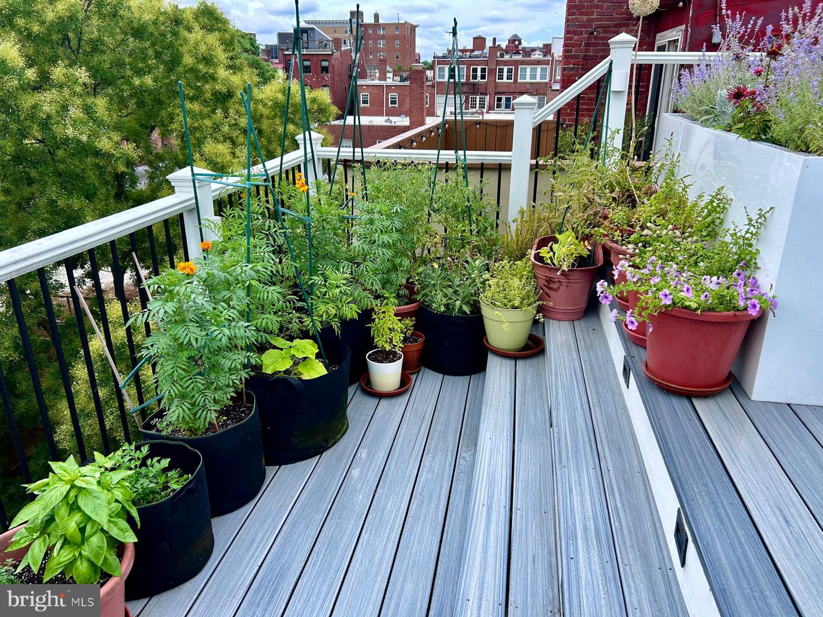 1808 Riggs Place Northwest Washington, DC 20009 - Photo 41 of 42 a view of a balcony with sitting area