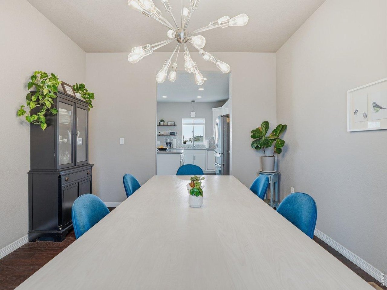 1766 Ruddlesway Drive Windsor, CO 80550 - Photo 7 of 50 a view of a dining room with furniture and a potted plant