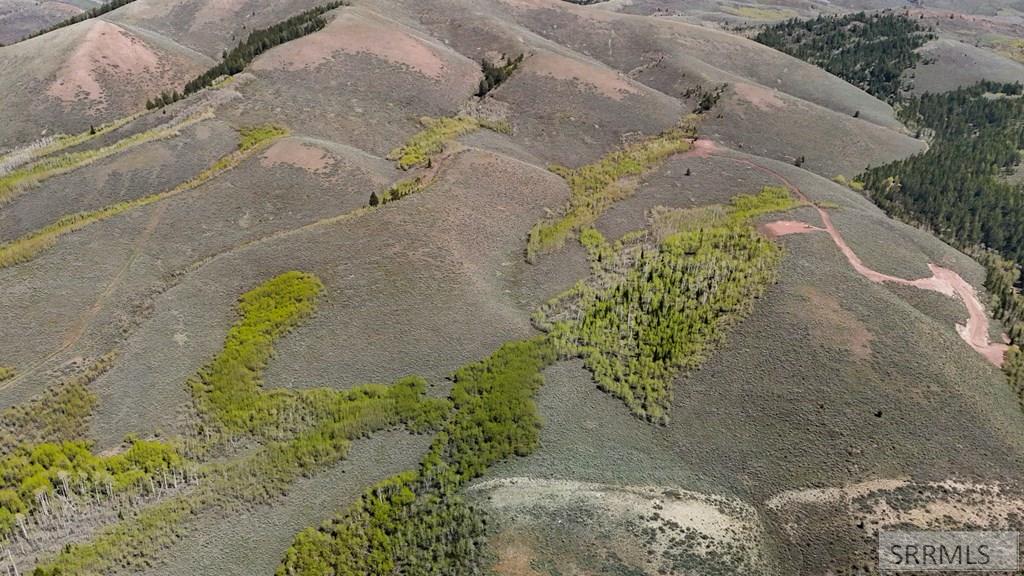 Tbd Tbd White Ridge Road Soda Springs, ID 83276 - Photo 10 of 22