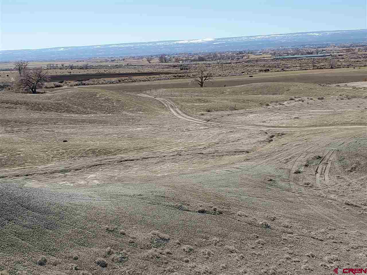 0 David Olathe, CO 81425 - Photo 11 of 16
