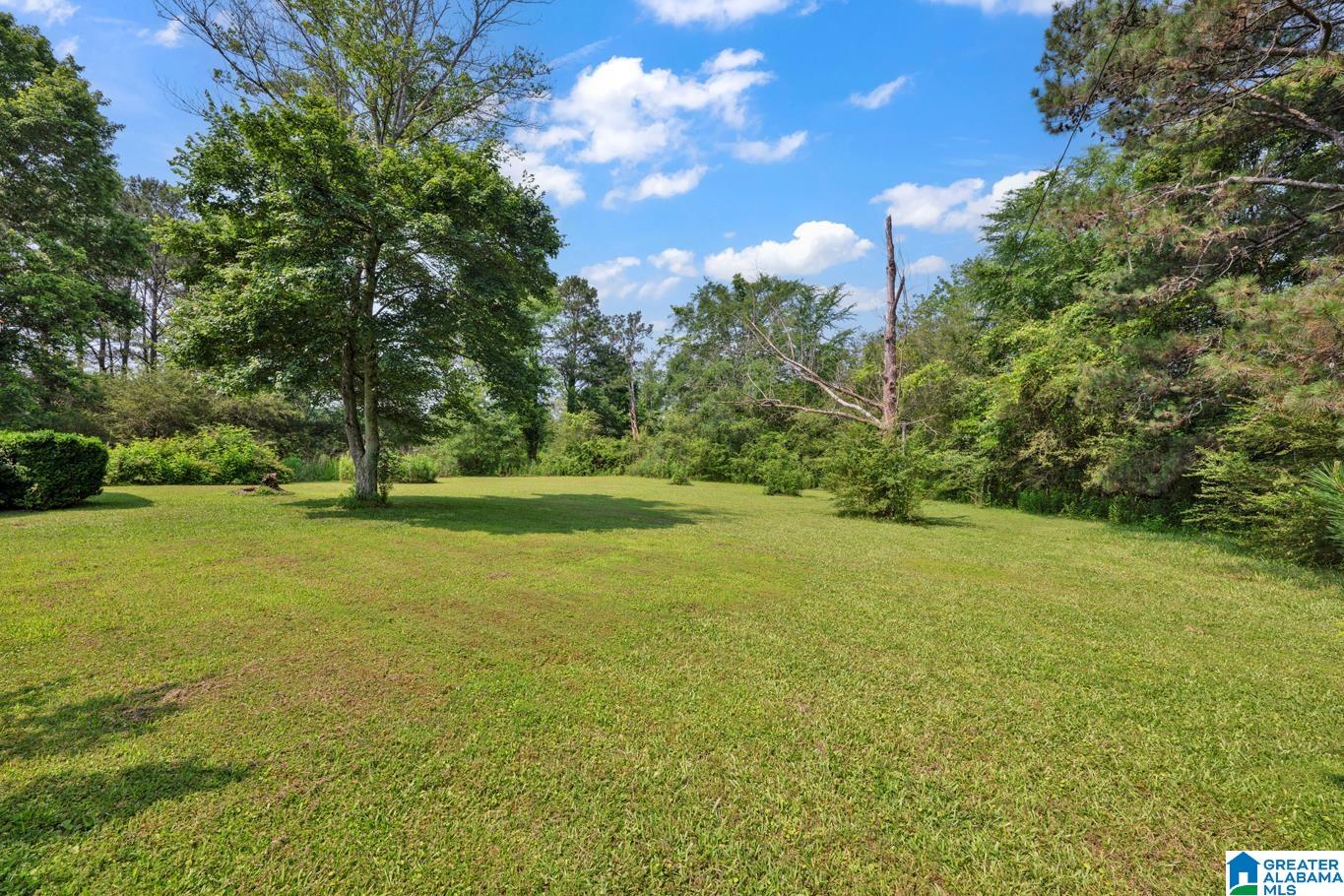 185 Apple Blossom Road Cleveland, AL 35049 - Photo 2 of 27