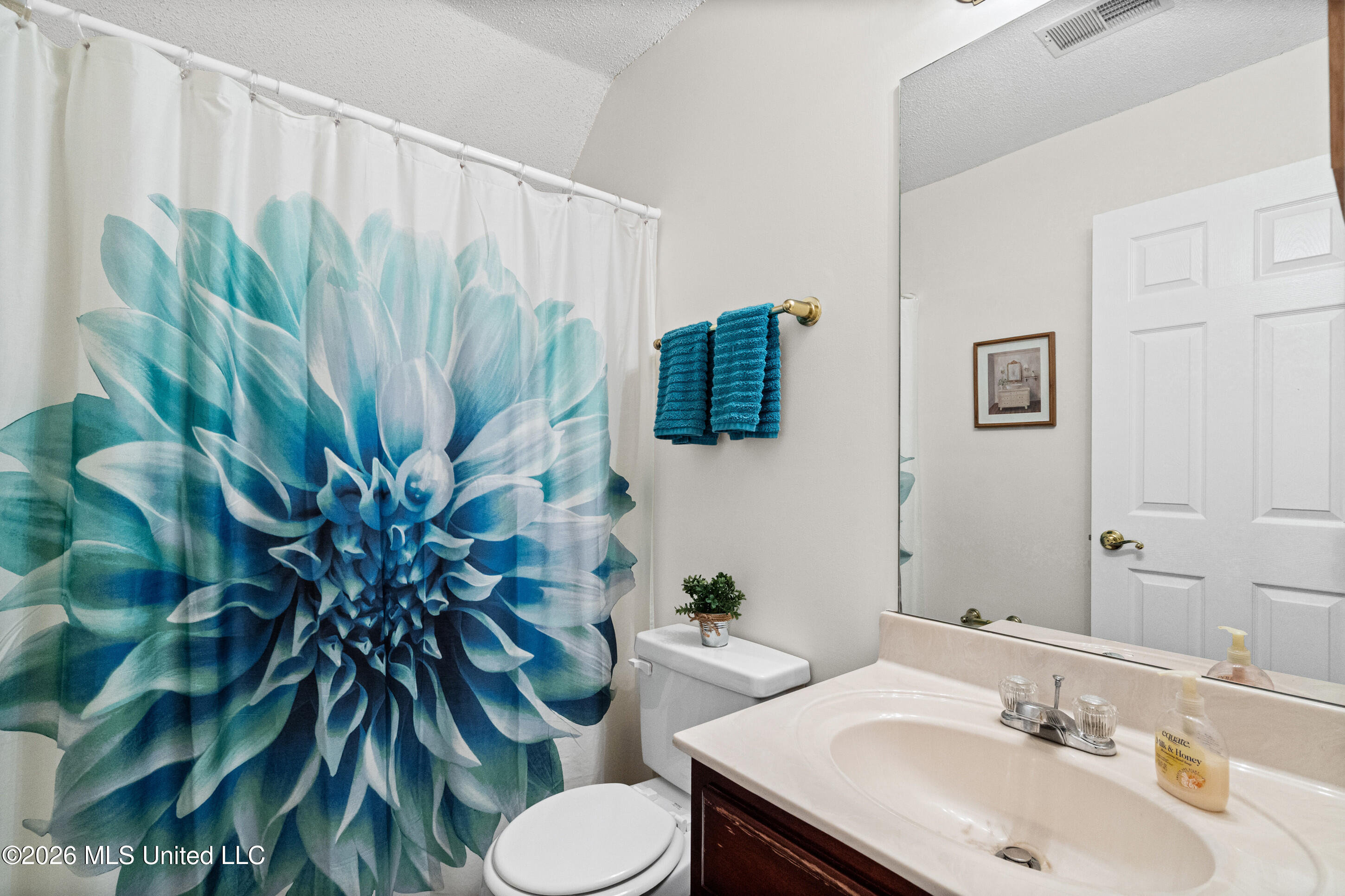 6546 Braybourne Main Olive Branch, MS 38654 - Photo 18 of 30 Upstairs Bathroom