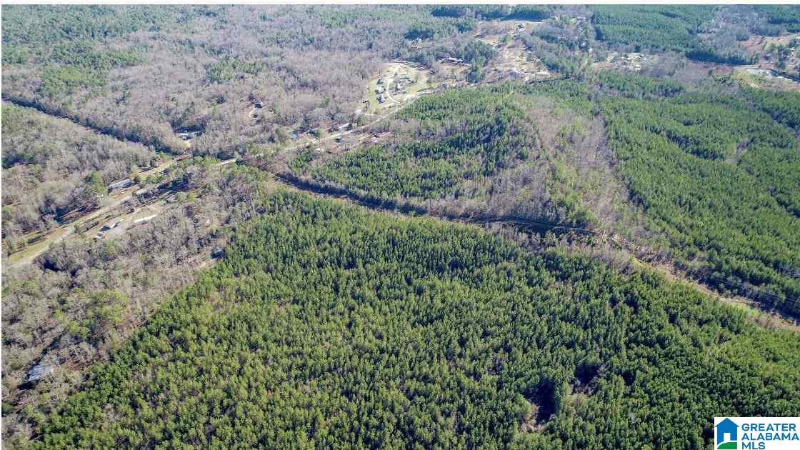 12186 Plowman Road, Unit 2 ACRES Gordo, AL 35466 - Photo 5 of 5